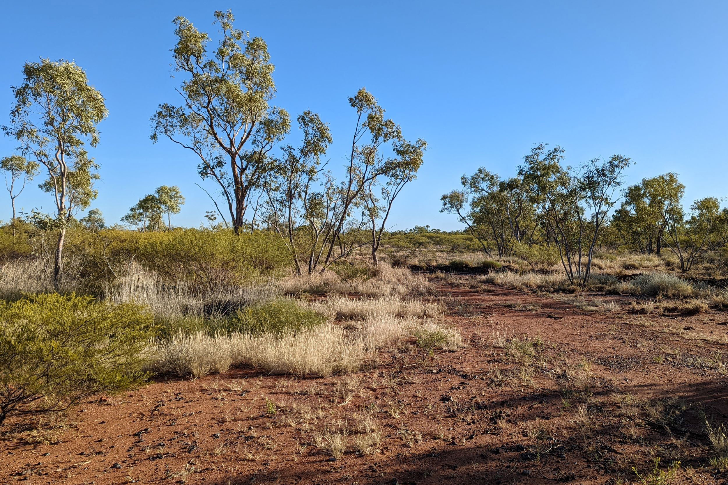 Mining in Australia | Harmony Gold Mining Company Limited